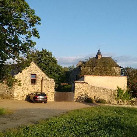 Chateau De Chanze Faye-d'Anjou Extérieur photo