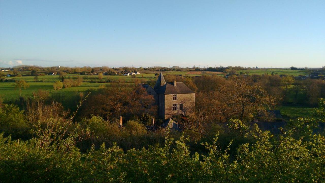 Chateau De Chanze Faye-d'Anjou Extérieur photo