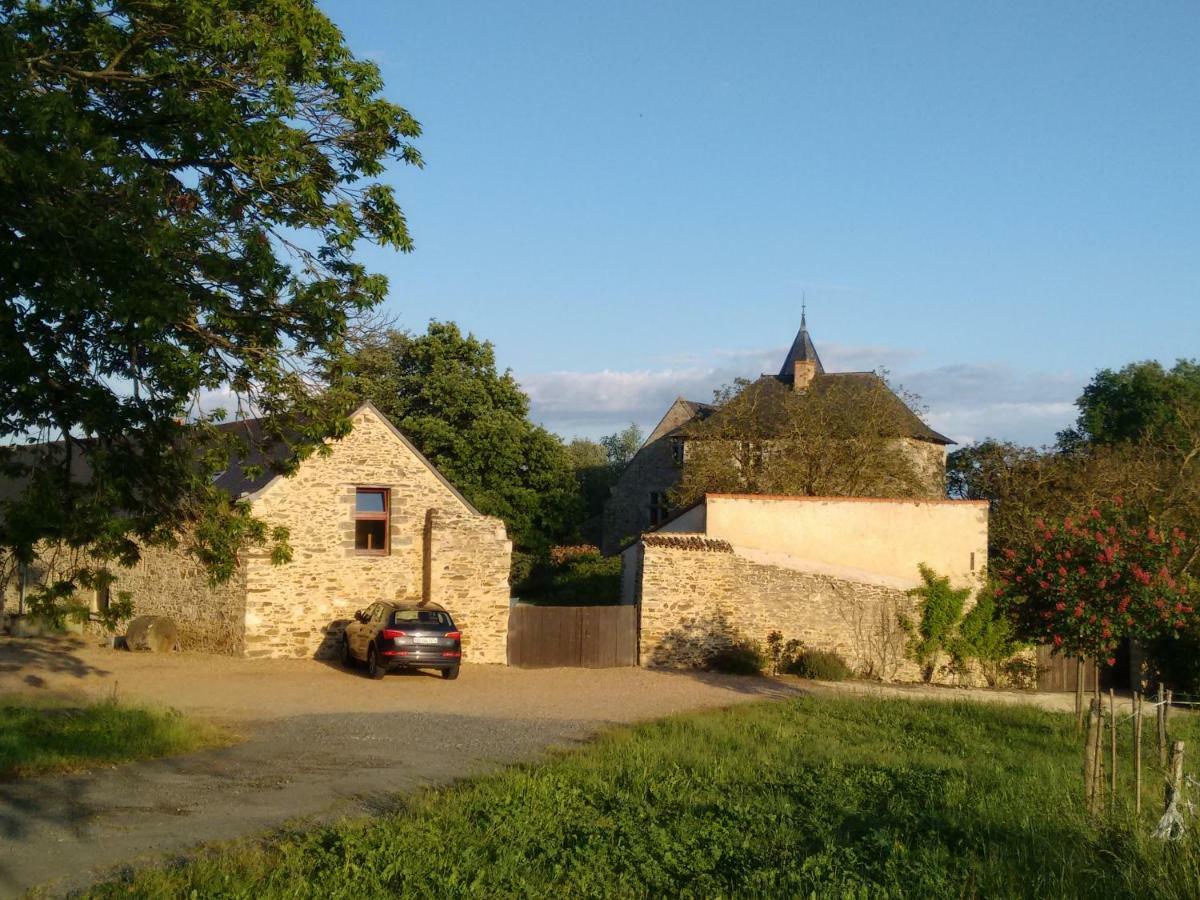 Chateau De Chanze Faye-d'Anjou Extérieur photo