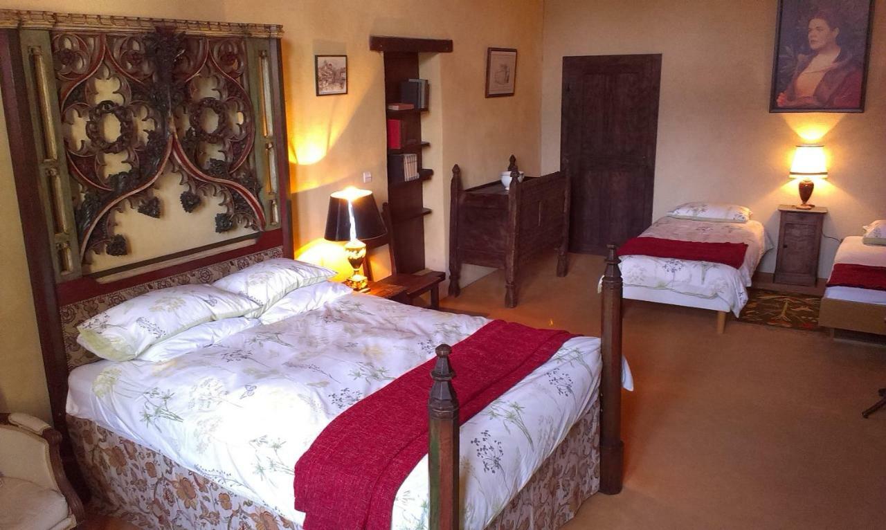 Chateau De Chanze Faye-d'Anjou Extérieur photo