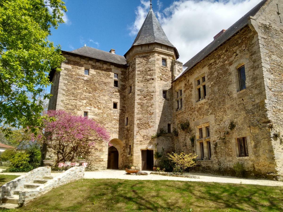 Chateau De Chanze Faye-d'Anjou Extérieur photo