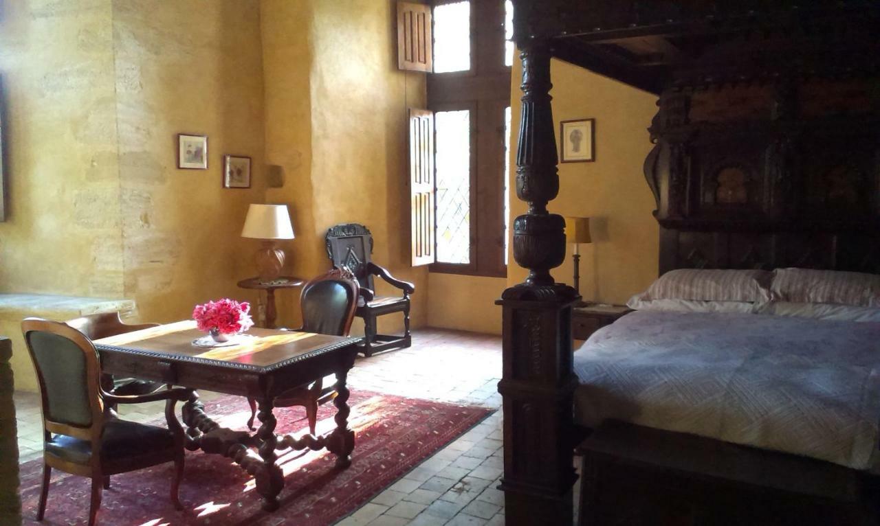 Chateau De Chanze Faye-d'Anjou Extérieur photo
