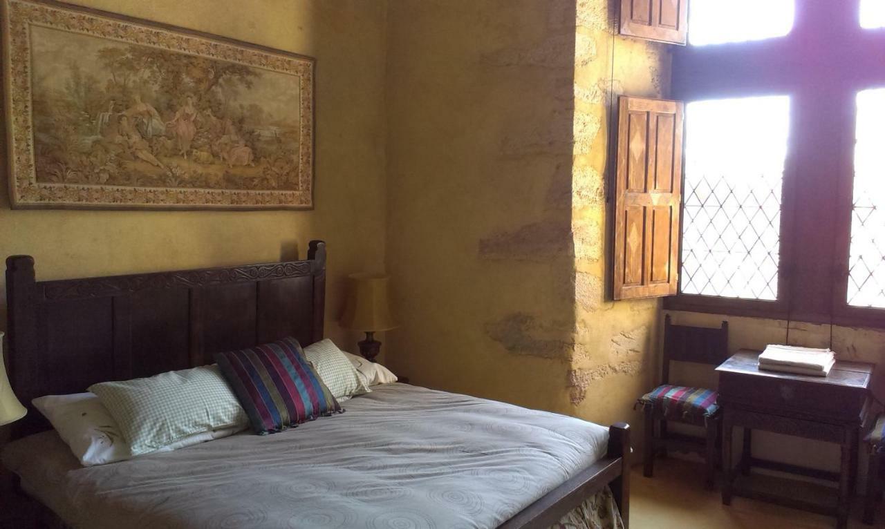Chateau De Chanze Faye-d'Anjou Extérieur photo